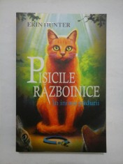 PISICILE RAZBOINICE * In inima padurii - ERIN HUNTER