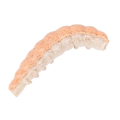Viermi Berkley Powerbait Honey Orange Pearl, 2.5cm foto