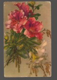 CPIB 19951 CARTE POSTALA - BUCHET DE FLORI, RPR