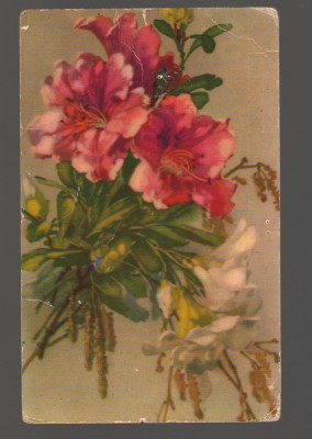 CPIB 19951 CARTE POSTALA - BUCHET DE FLORI, RPR foto