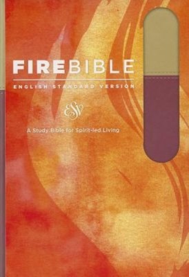 Fire Bible-ESV foto