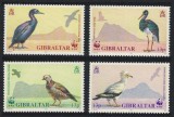 GIBRALTAR 1991 WWF FAUNA PROTEJATA PASARI, Nestampilat