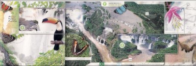ARGENTINA 2014 FAUNA CASCADA IGUAZU foto