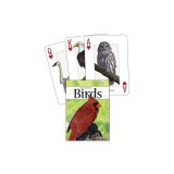 Birds of the Midwest