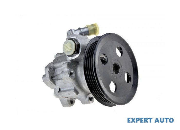 Pompa servo Fiat Ducato (2002-2006) #1