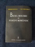 Biciul holerei pe pamant romanesc &ndash; Gheorghe Bratescu
