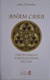 Anam Cara. Cartea magica a intelepciunii celtice &ndash; John O&#039;Donohue (2013, coperta maro)