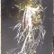 POESIES-FRANCOIS VILLON-271685