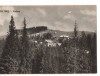 CPIB 19220 CARTE POSTALA - PALTINIS, VEDERE, RPR, Necirculata, Fotografie