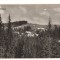 CPIB 19220 CARTE POSTALA - PALTINIS, VEDERE, RPR