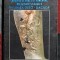 Credinte si practici funerare, religioase si magice in lumea geto - dacilor - Valeriu S&icirc;rbu