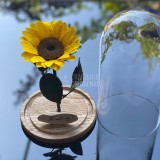 Floarea Soarelui Criogenata &Oslash;10-12cm in cupola sticla mare