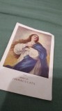 Cumpara ieftin ICONITA VECHE