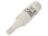 Siguranță Ceramică 6A 500V Rapidă