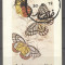 Dhufar 1972 Butterflies, mini imperf.sheet, used AI.018