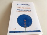 Cumpara ieftin ALEXANDRU GICA,TIMPUL UNEI INTALNIRI-ANDREI SCRIMA SI OBARSIA CELUI FARA OBARSIE