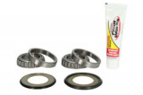 Set rulmenti capat de sasiu compatibil: HONDA CRF 250/450 2009-2013, PIVOT WORKS