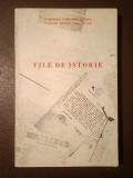 File de istorie: culegere de comunicări și referate privind mișcarea comunistă și muncitorească din jud. Caraș-Severin
