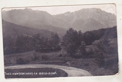bnk cp Muntele Ciucas la Baile Zizin - Vedere - necirculata interbelica foto