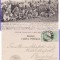 Dobrogea, Constanta-Turci, Tigani- Tipuri -clasica, RR