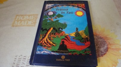 Profesorul Maestrul neantului - Traind in Tao - alchimia interna taoista - 2003 foto