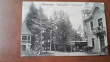 Carte postala, Malnas Bai, vedere partiala, 1931
