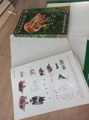 MANUAL PENTRU EXAMENUL DE VANATOR de NECULAI SELARU , 2006 foto