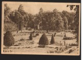 CPIB 15515 CARTE POSTALA - ORADEA. BAILE &quot;1 MAI&quot;, VEDERE DIN PARC, RPR, 1958