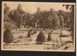 CPIB 15515 CARTE POSTALA - ORADEA. BAILE &quot;1 MAI&quot;, VEDERE DIN PARC, RPR, 1958, Circulata, Printata