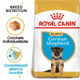 Royal Canin German Shepherd Puppy hrană uscată c&acirc;ine junior Ciobanesc German, 12kg