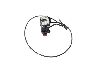 &amp;Icirc;ncuietoare ușă st&amp;acirc;nga spate TESLA MODEL S 2017 OEM: 6008911-00-D 21839507 foto