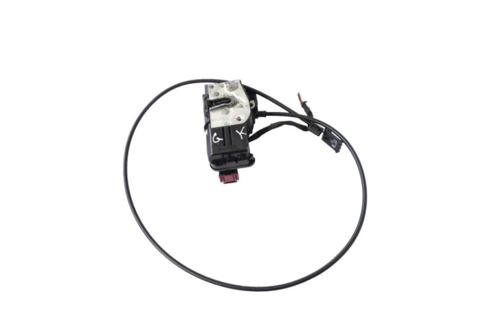 &Icirc;ncuietoare ușă st&acirc;nga spate TESLA MODEL S 2017 OEM: 6008911-00-D 21839507