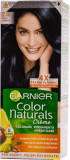 Color Naturals Vopsea de păr permanentă 2.10 Negru Albăstrui, 1 buc, Garnier