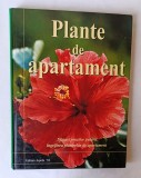 Plante de apartament