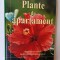 Plante de apartament