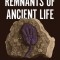 Remnants of Ancient Life: The New Science of Old Fossils