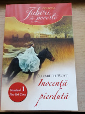 Inocenta pierduta - Elizabeth Hoyt, roman dragoste, format mare, 319 pagini foto