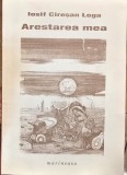 ARESTAREA MEA IOSIF CIRESAN LOGA 2004 DETINUT POLITIC REZISTENTA ARMATA ANTICOMUNISTA MISCAREA LEGIONARA INCHISORI COMUNISTE 104 PAGINI LEGIONAR