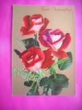 HOPCT 11363 TRANDAFIRI -CP FELICITARE FLORI-ITALIA -EUROPA -NECIRCULATA