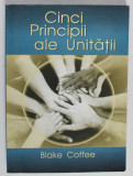 CINCI PRINCIPII ALE UNITATII de BLAKE COFFEE , 2008 , PREZINTA HALOURI DE APA *