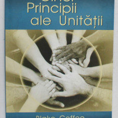 CINCI PRINCIPII ALE UNITATII de BLAKE COFFEE , 2008 , PREZINTA HALOURI DE APA *