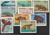 Fauna ,animale preistorice ,Polonia., Nestampilat