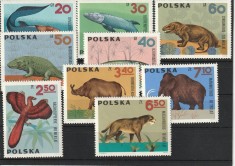 Fauna ,animale preistorice ,Polonia.