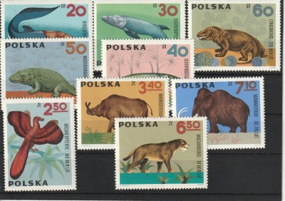 Fauna ,animale preistorice ,Polonia. foto
