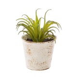 Cumpara ieftin Planta artificiala suculenta verde in ghiveci metal alb patinat 10 cm x 10 cm x 11 h