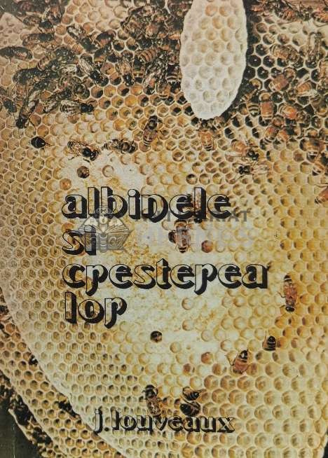 Albinele si cresterea lor (AR17)