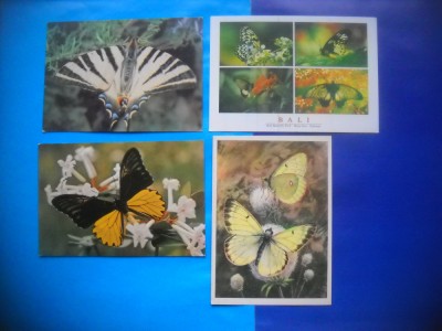 HOPCT LOT NR 403 FLUTURI -FAUNA -4 CARTI POSTALE-NECIRCULATE foto