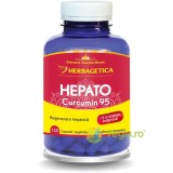 Hepato Curcumin 95 120cps