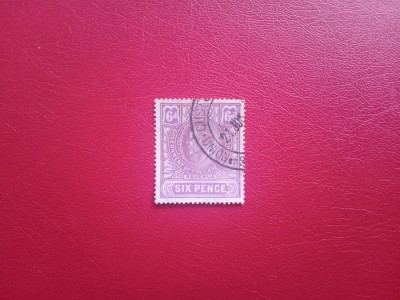 1903 - TIMBRU FISCAL - CAPE OF GOOD HOPE foto