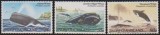 NORFOLK - 1982 - BALENE